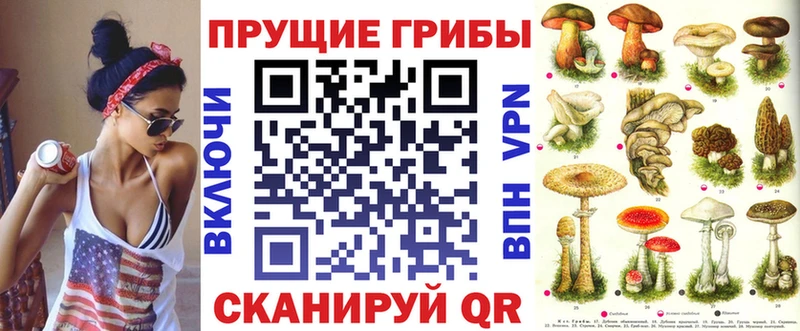 blacksprut   Рославль  Псилоцибиновые грибы Psilocybe 