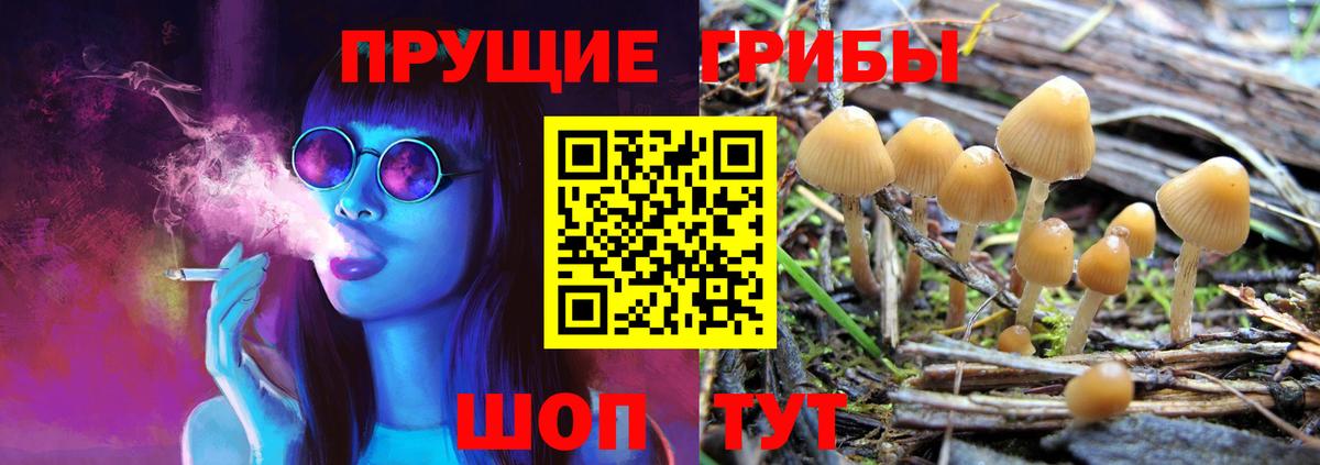 Рославль  Галлюциногенные грибы Cubensis  цены наркотик  Вход с VPN 